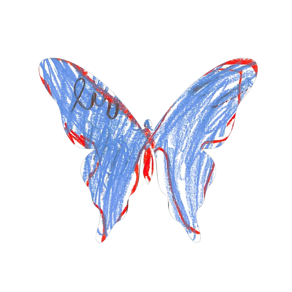 Original Butterfly Image