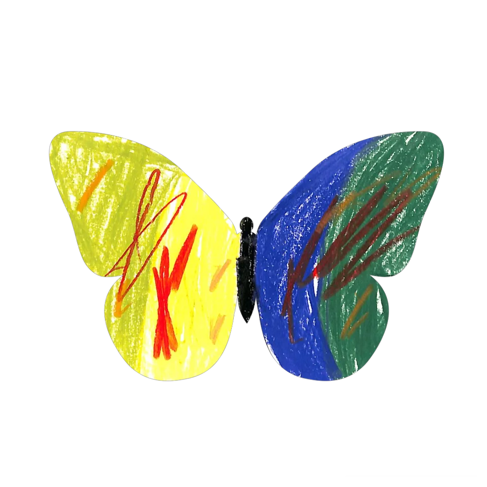 Original Butterfly Image