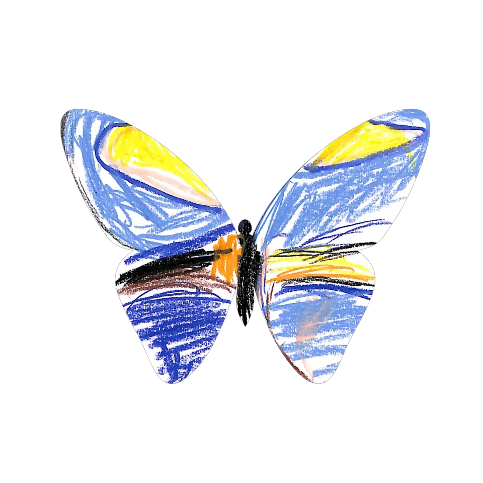 Original Butterfly Image