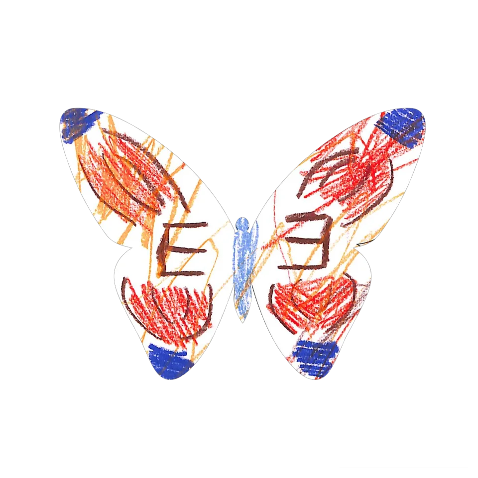 Original Butterfly Image