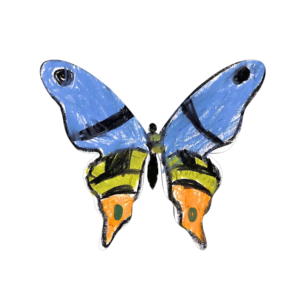 Original Butterfly Image