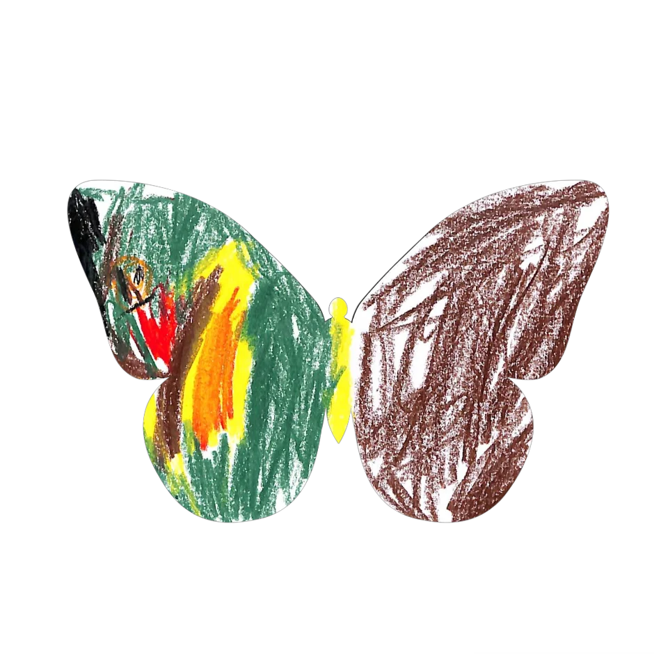 Original Butterfly Image
