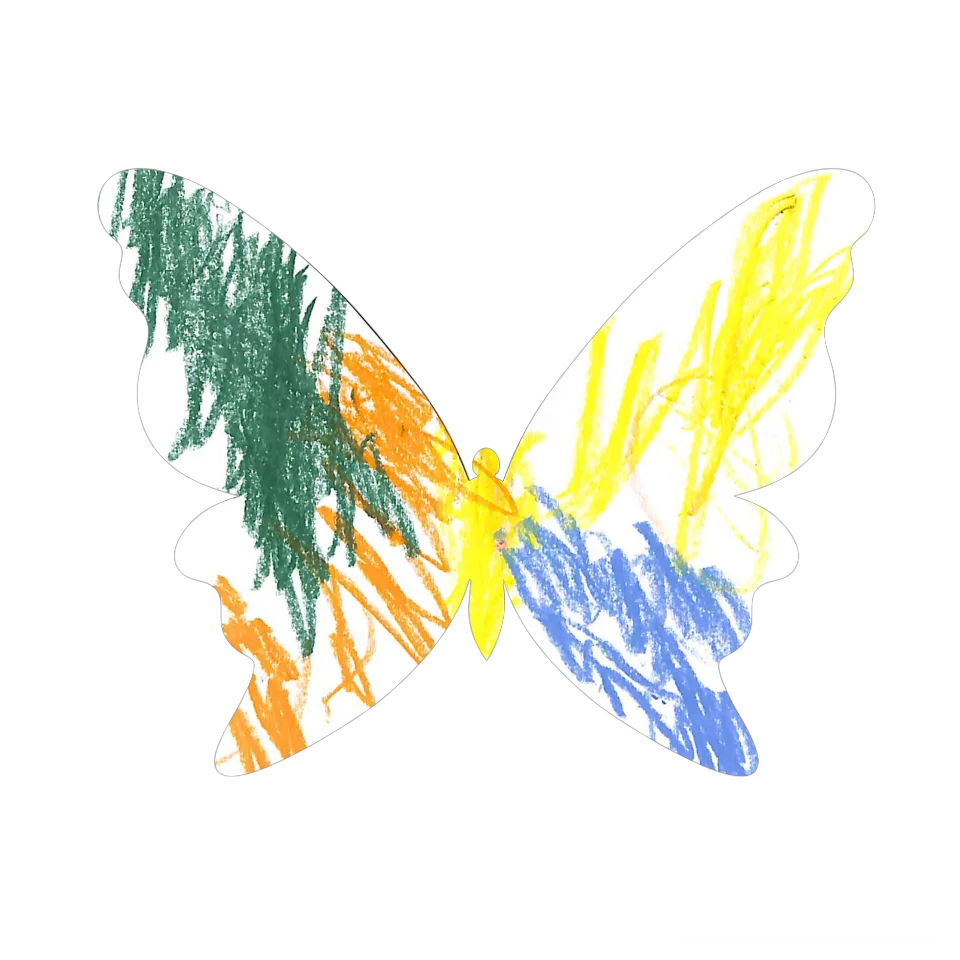 Original Butterfly Image