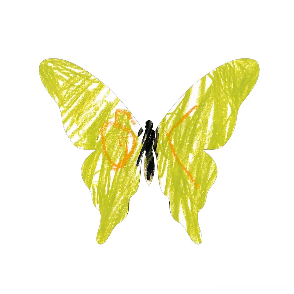 Original Butterfly Image