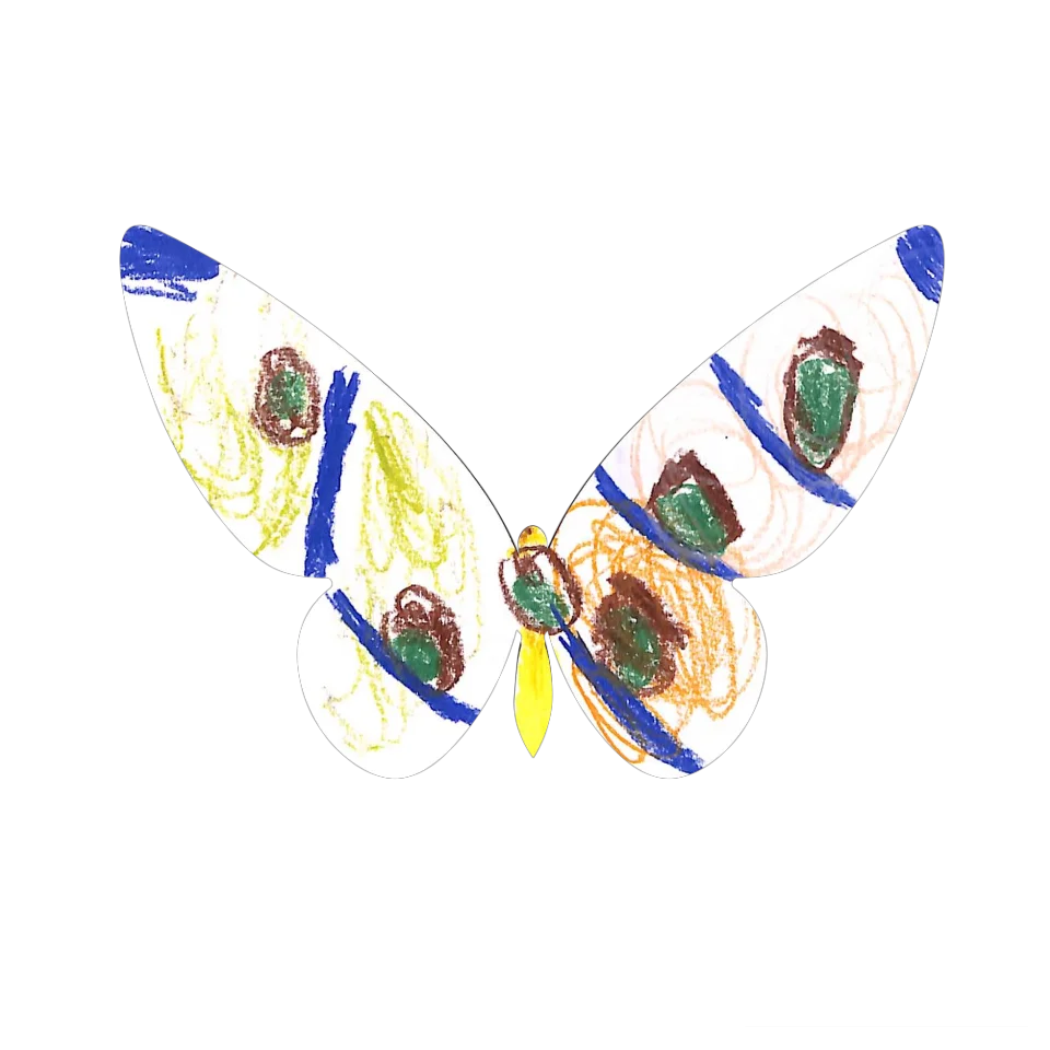 Original Butterfly Image