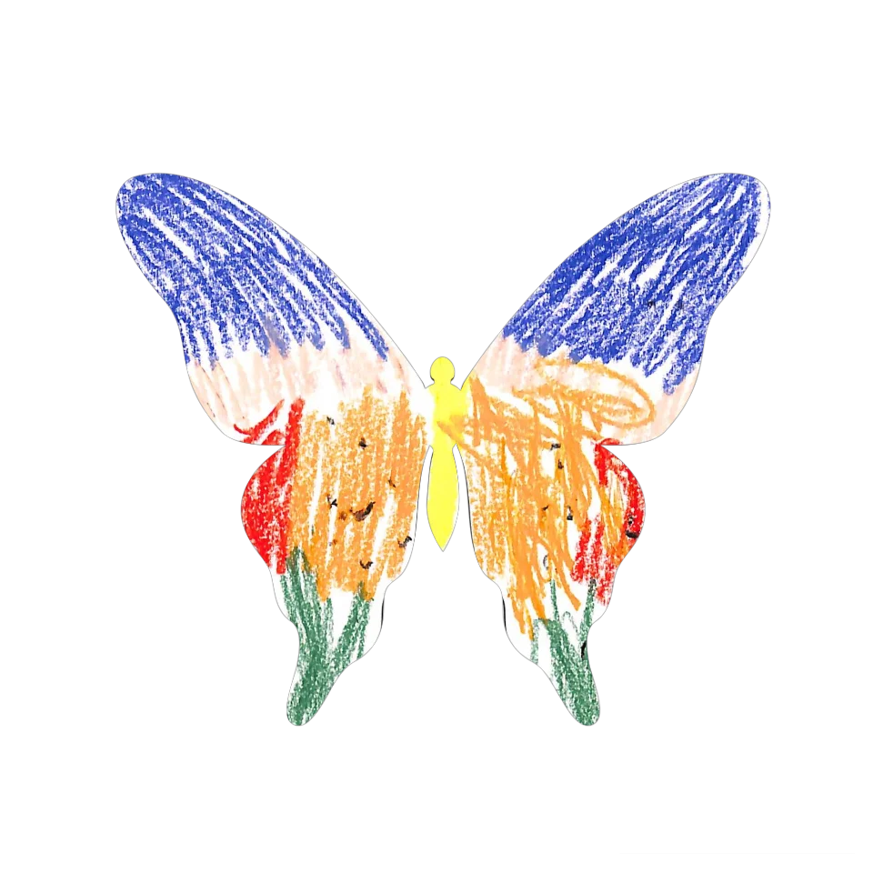 Original Butterfly Image