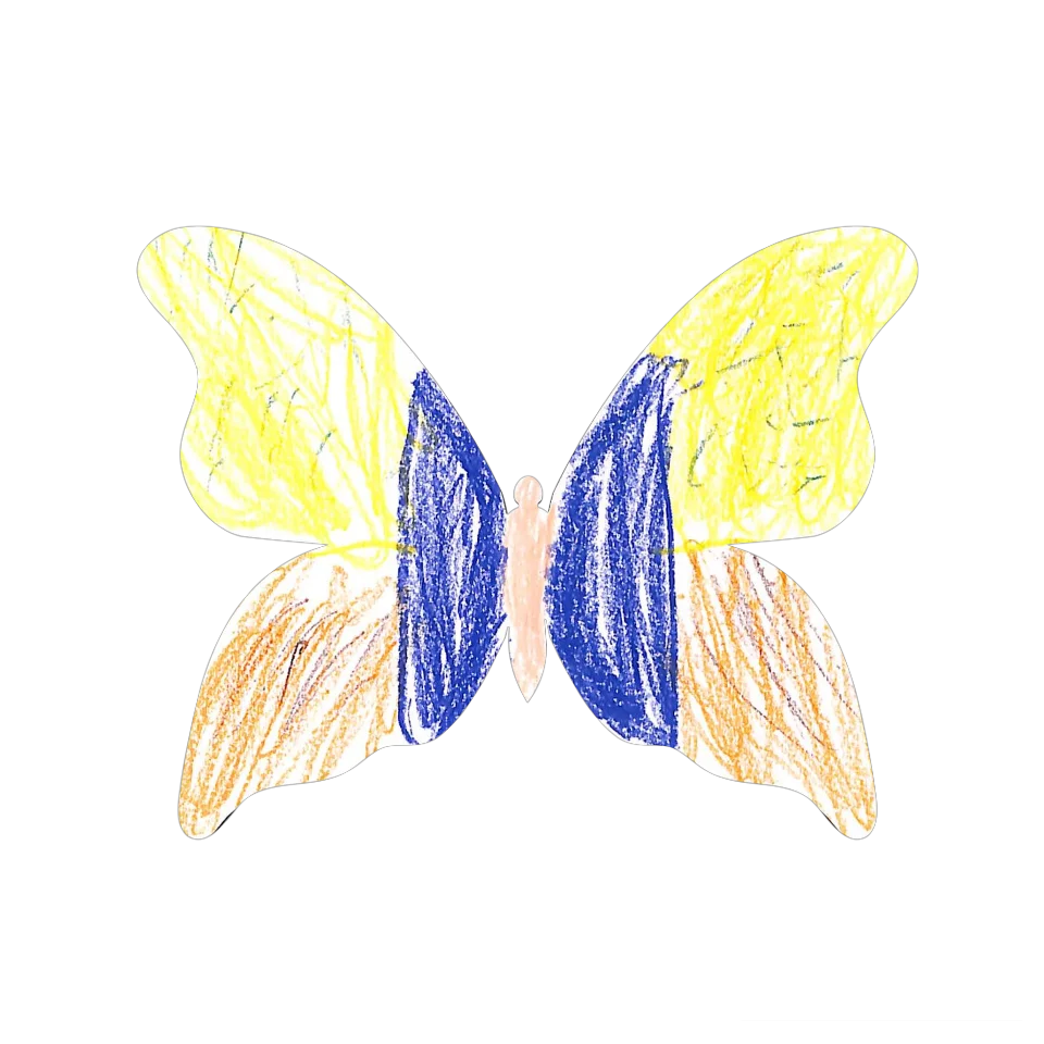 Original Butterfly Image