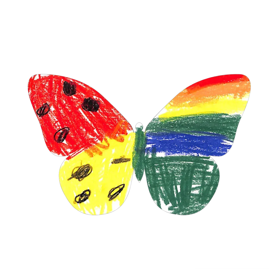 Original Butterfly Image