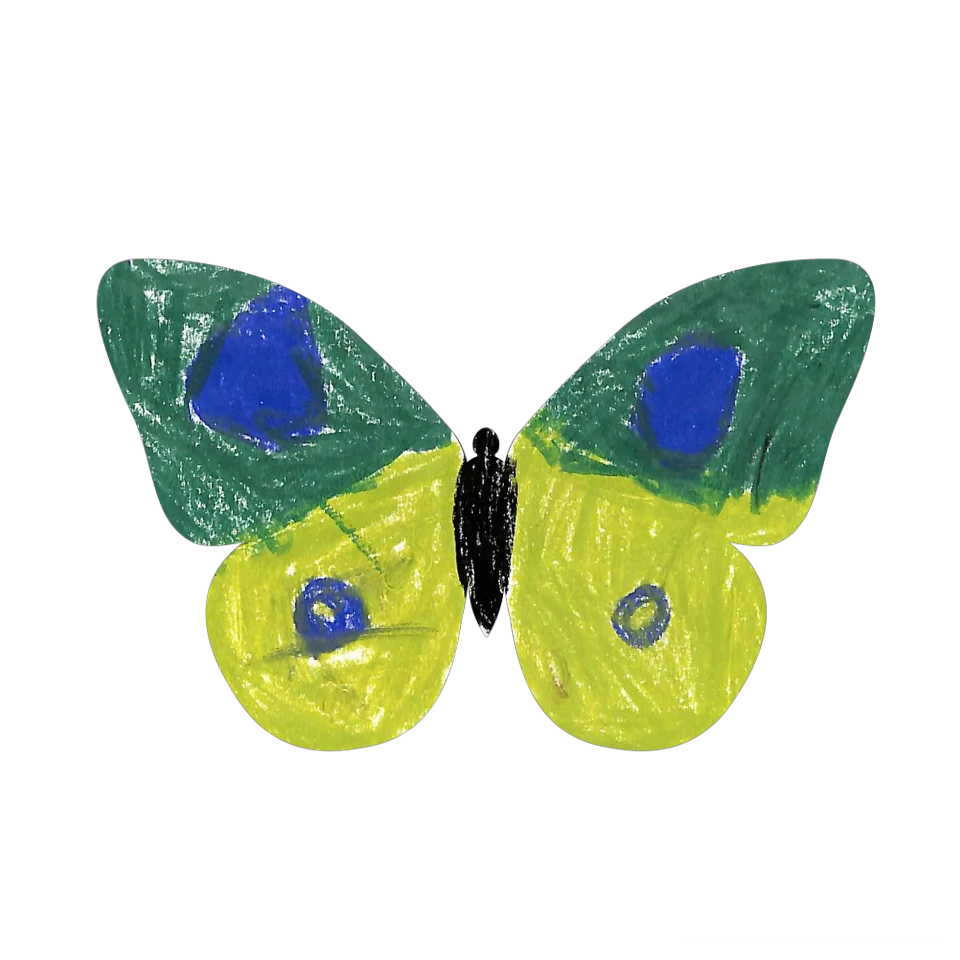 Original Butterfly Image