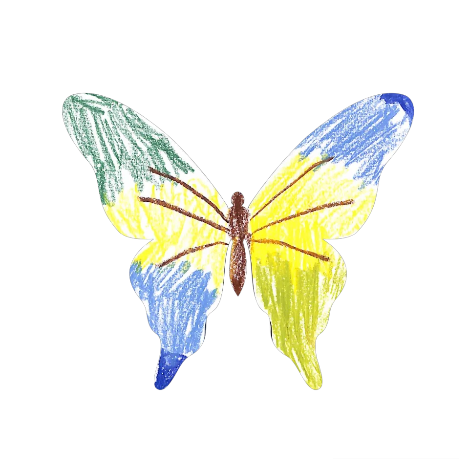 Original Butterfly Image