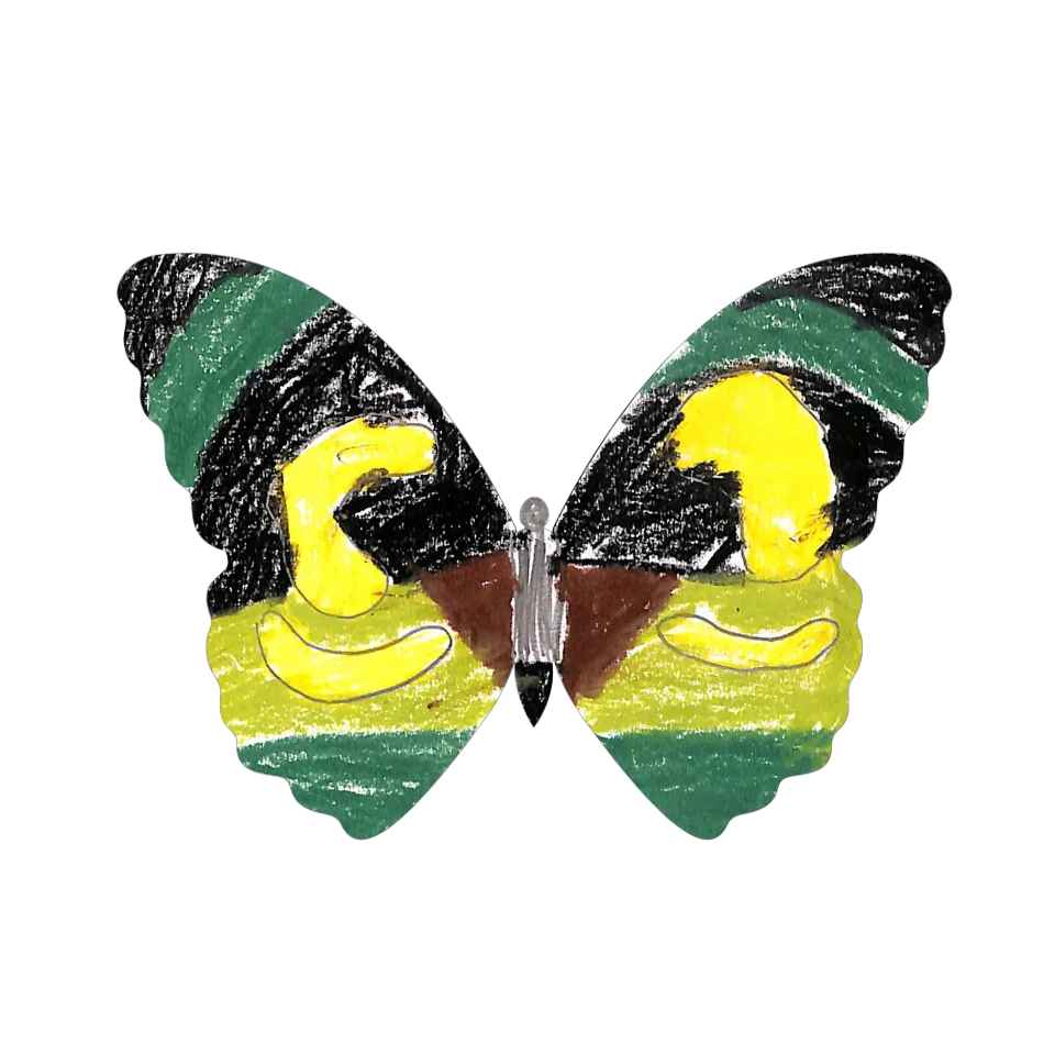 Original Butterfly Image
