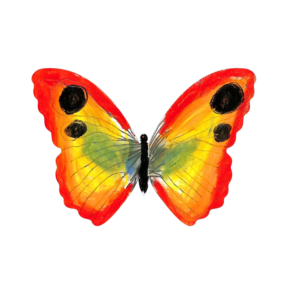 Original Butterfly Image
