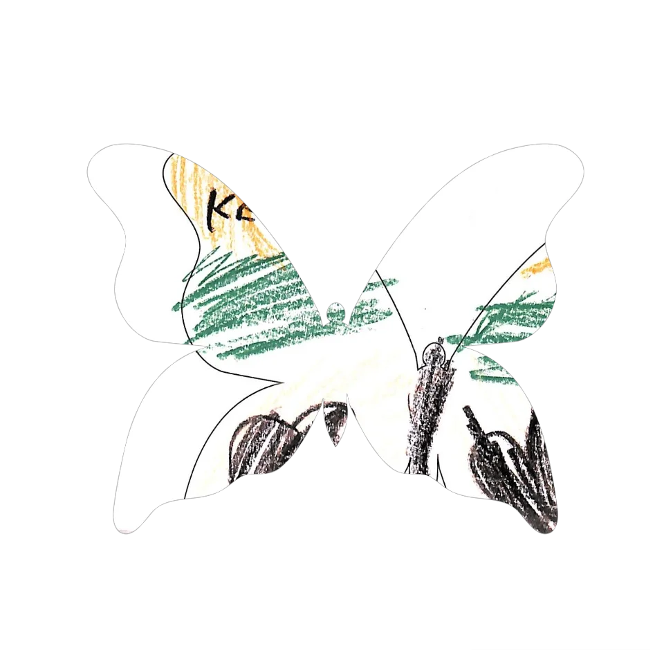 Original Butterfly Image