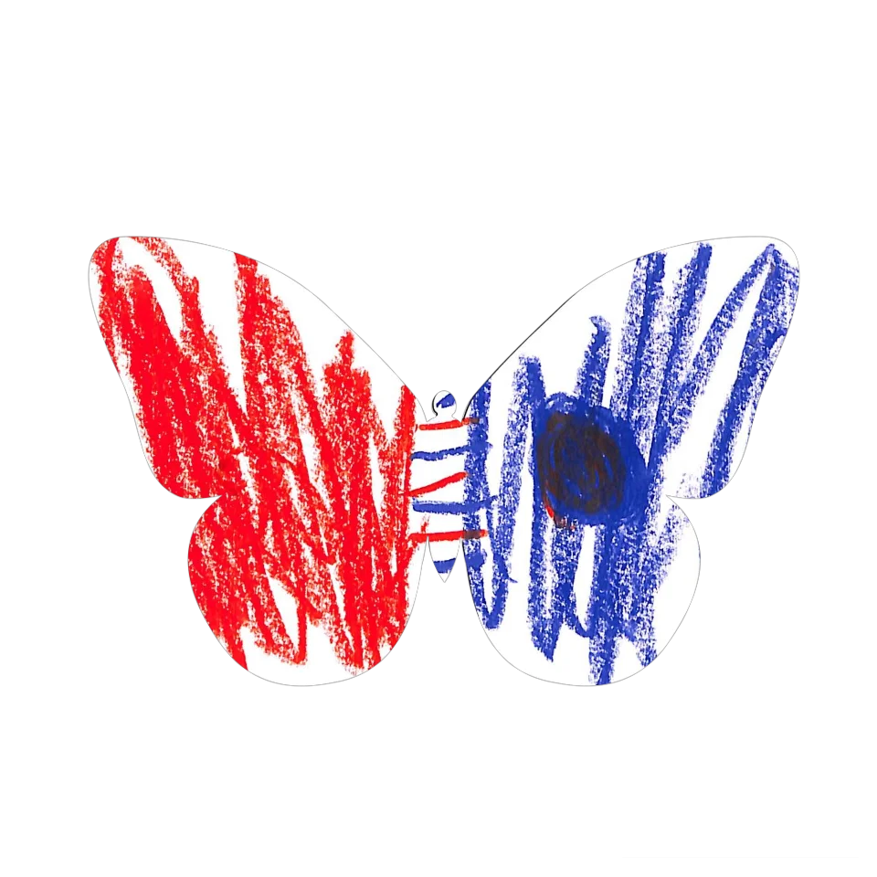 Original Butterfly Image