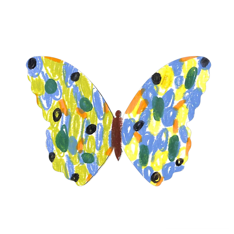 Original Butterfly Image