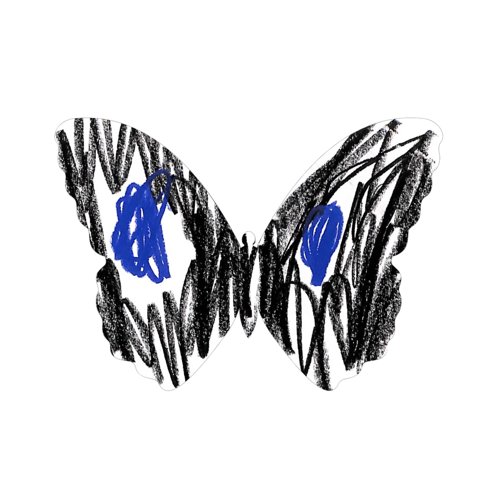 Original Butterfly Image