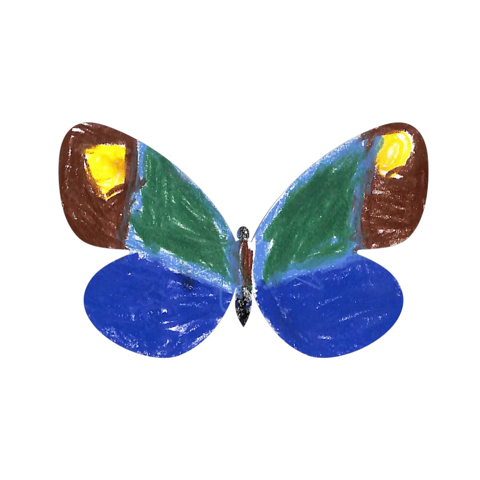 Original Butterfly Image