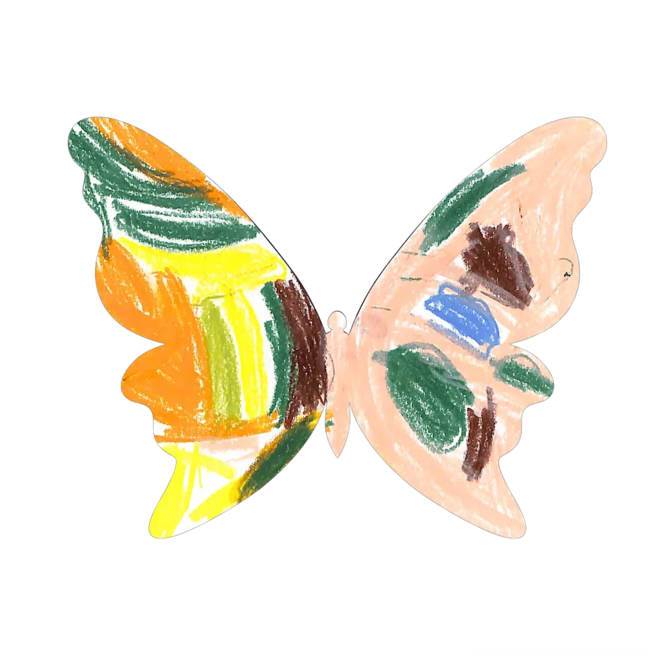 Original Butterfly Image
