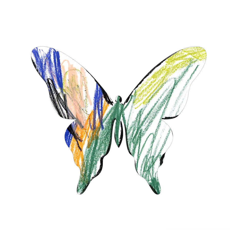 Original Butterfly Image