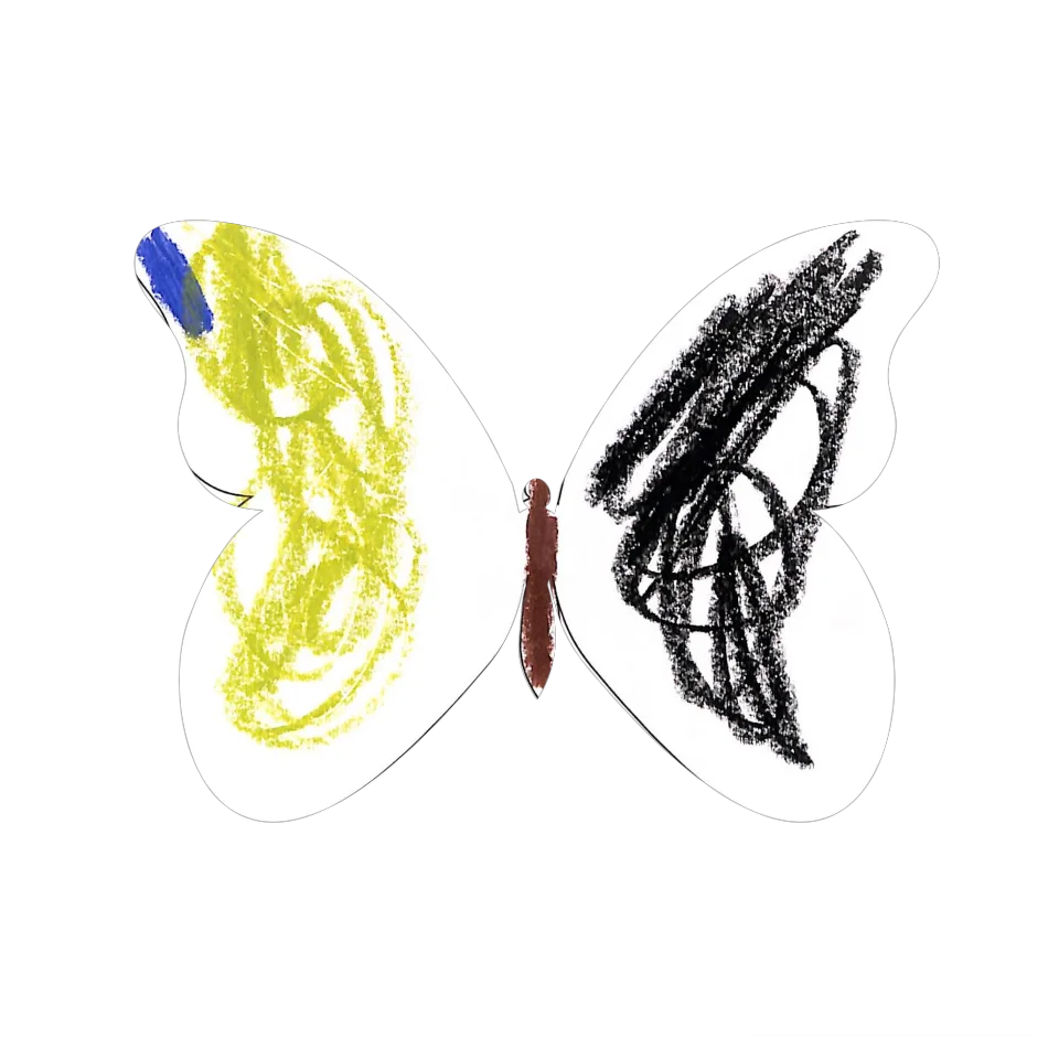 Original Butterfly Image