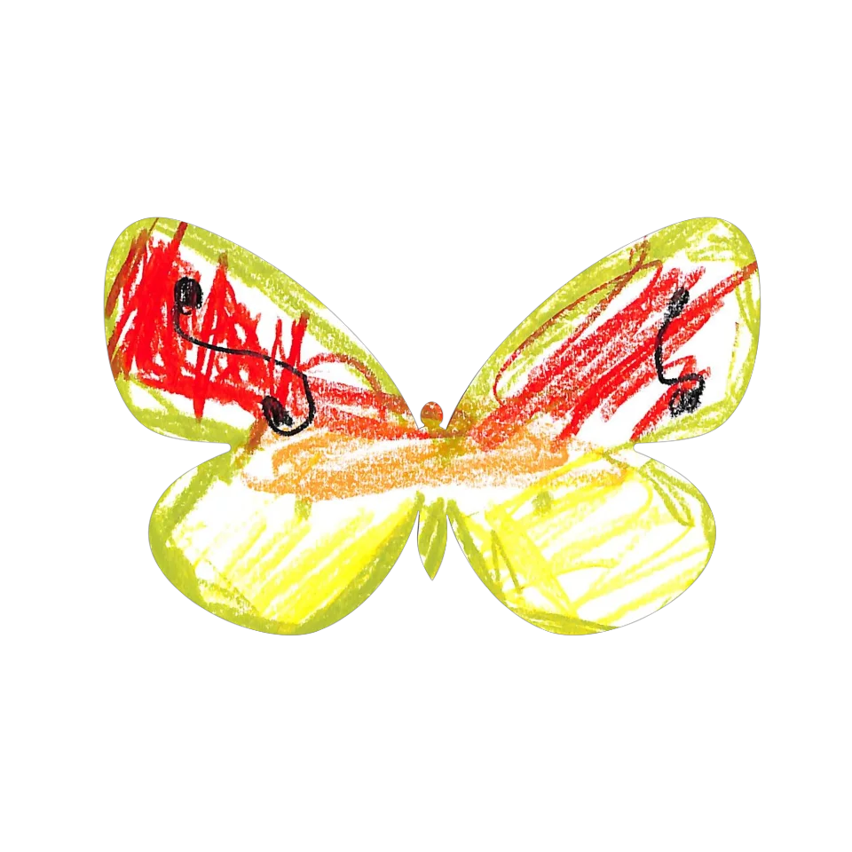 Original Butterfly Image