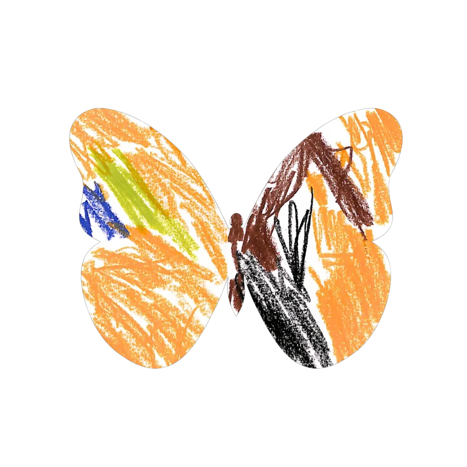 Original Butterfly Image