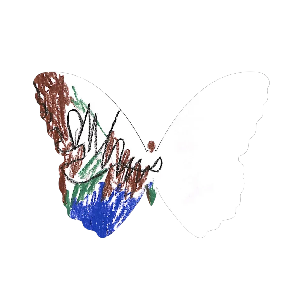 Original Butterfly Image
