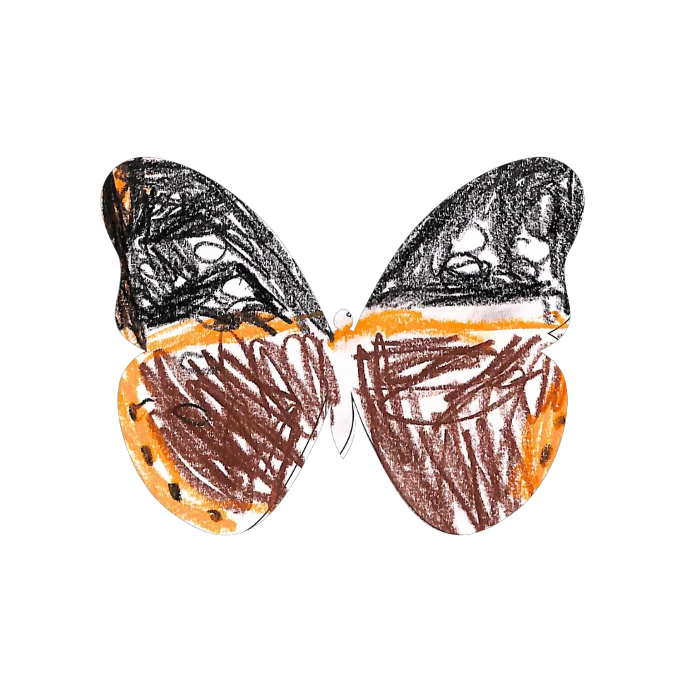 Original Butterfly Image
