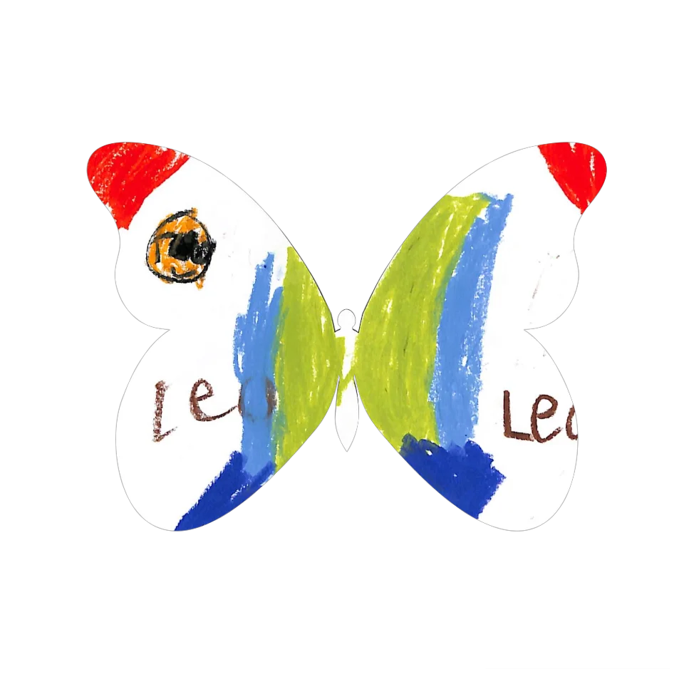 Original Butterfly Image