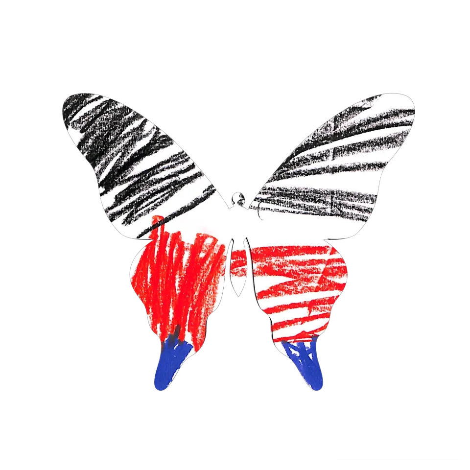 Original Butterfly Image