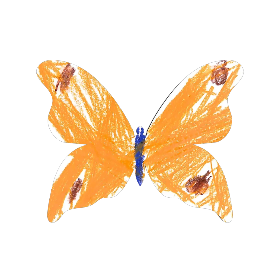 Original Butterfly Image