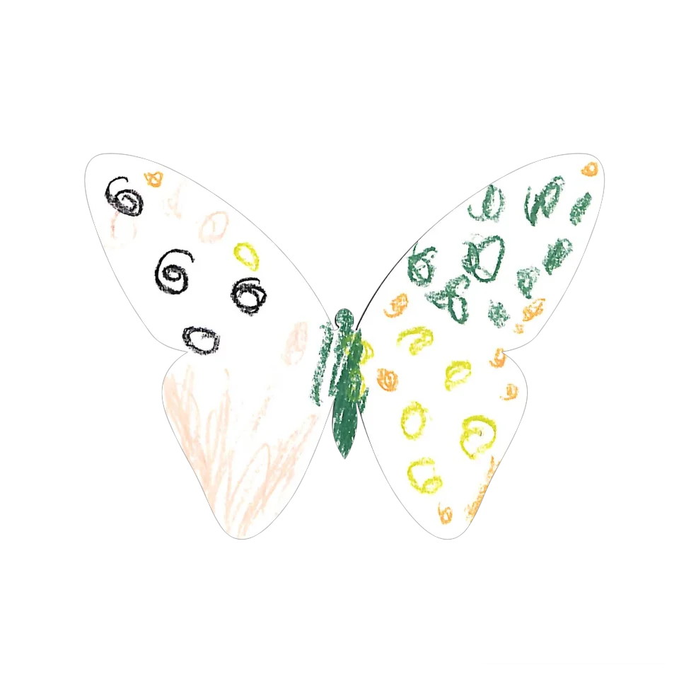 Original Butterfly Image