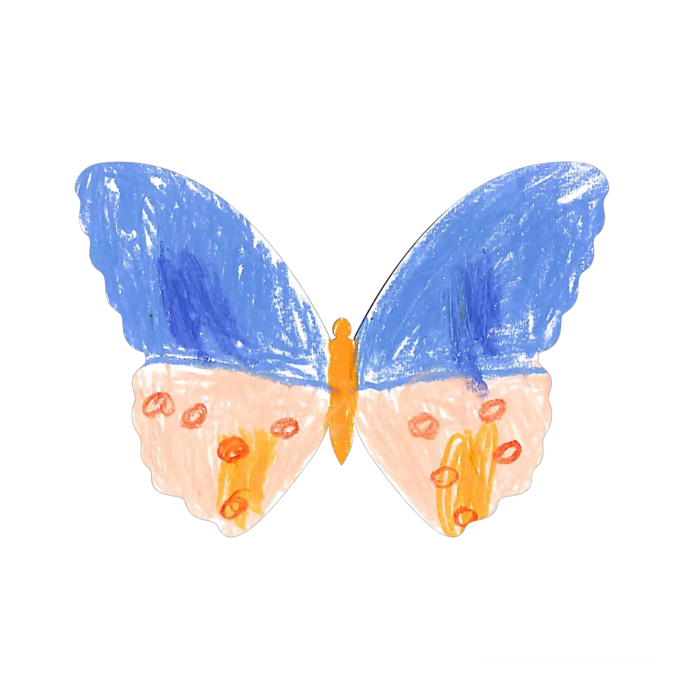 Original Butterfly Image