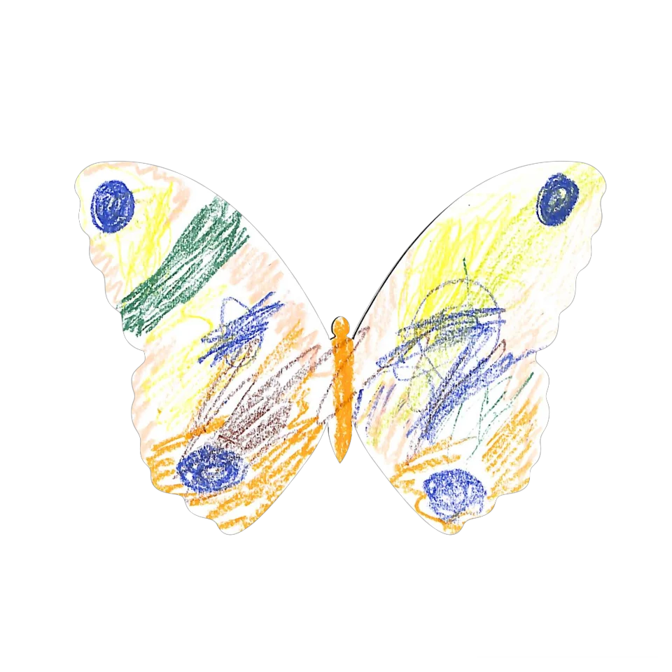 Original Butterfly Image