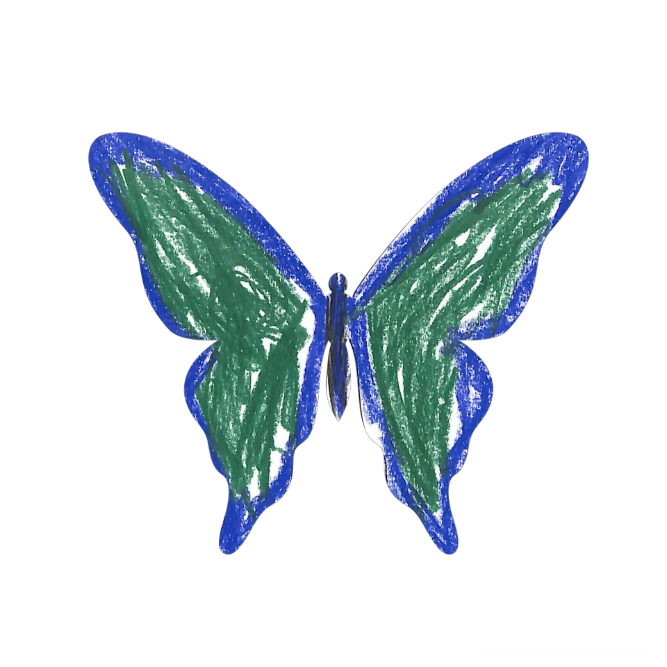 Original Butterfly Image
