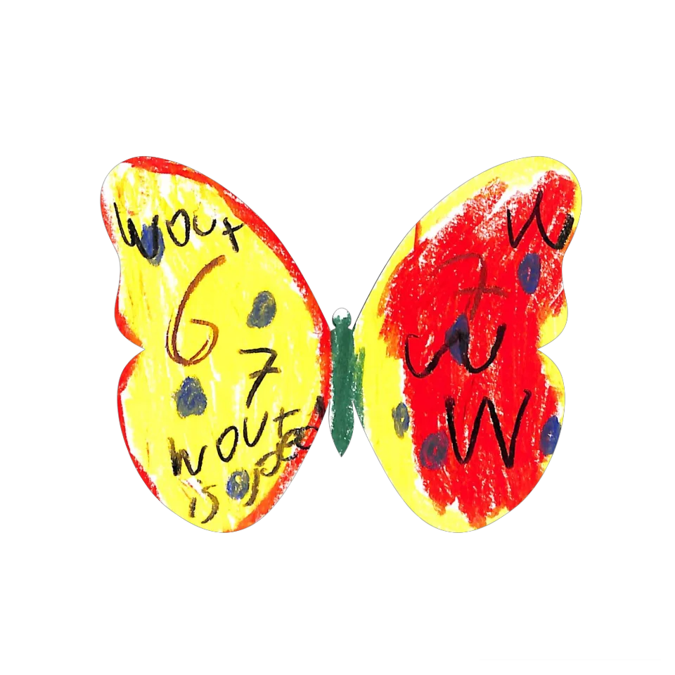 Original Butterfly Image