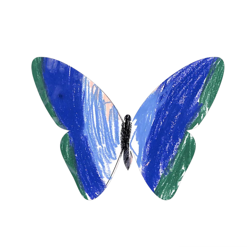 Original Butterfly Image