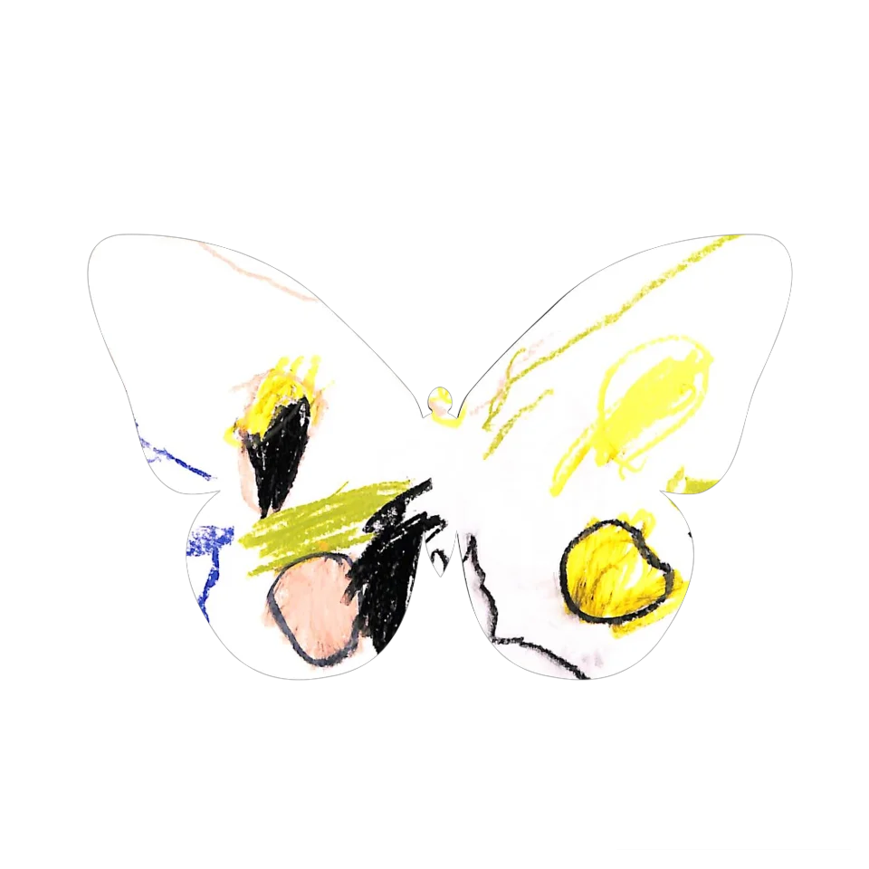 Original Butterfly Image