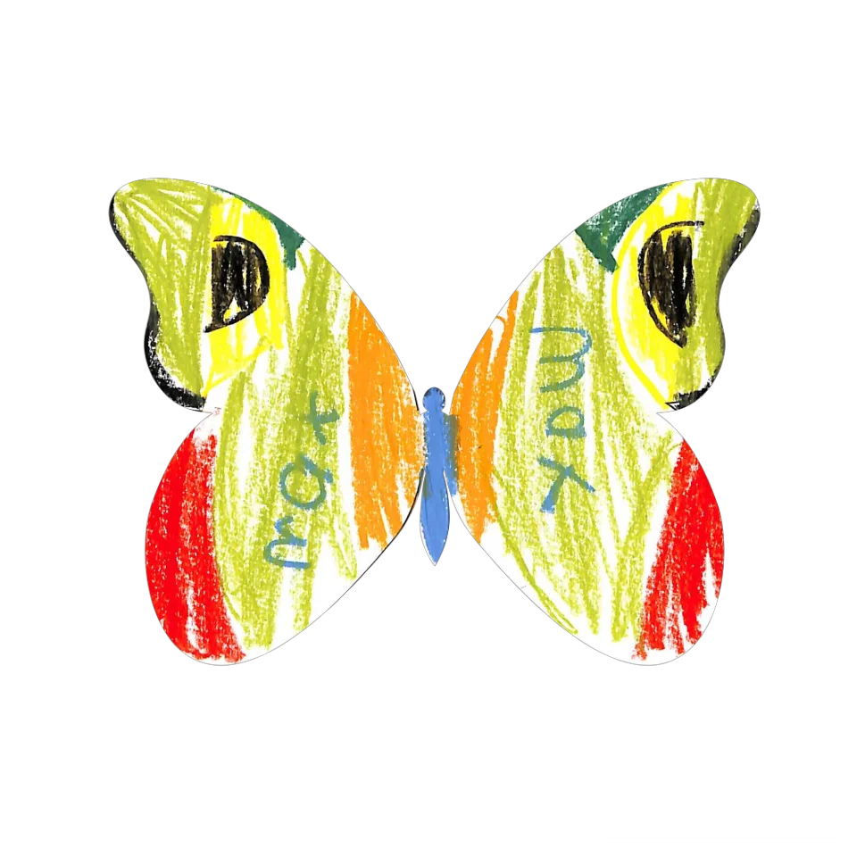 Original Butterfly Image