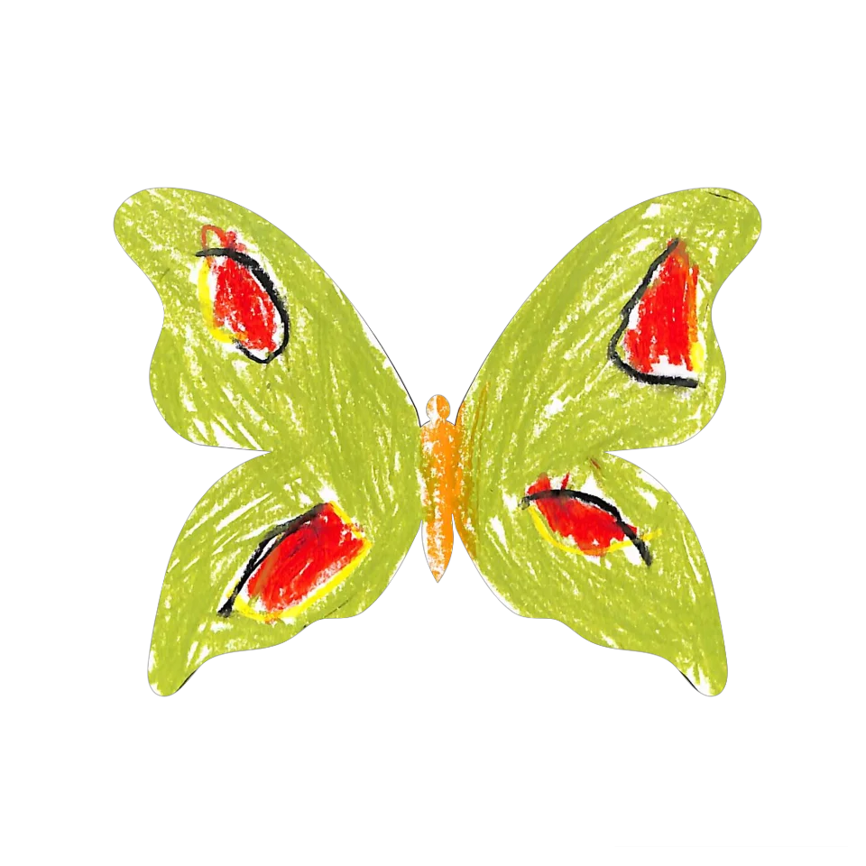 Original Butterfly Image