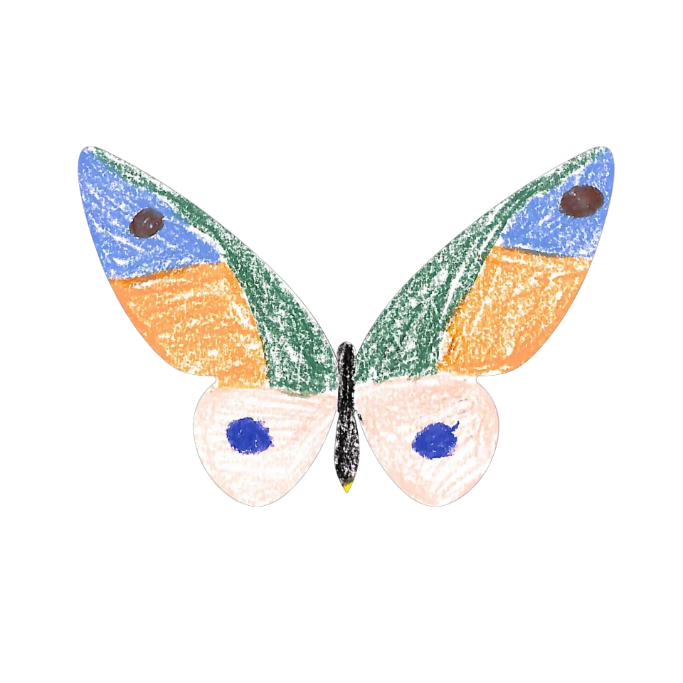 Original Butterfly Image