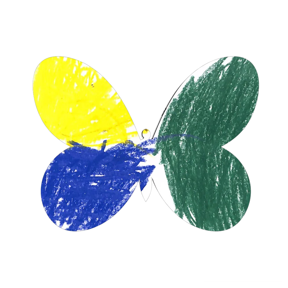Original Butterfly Image
