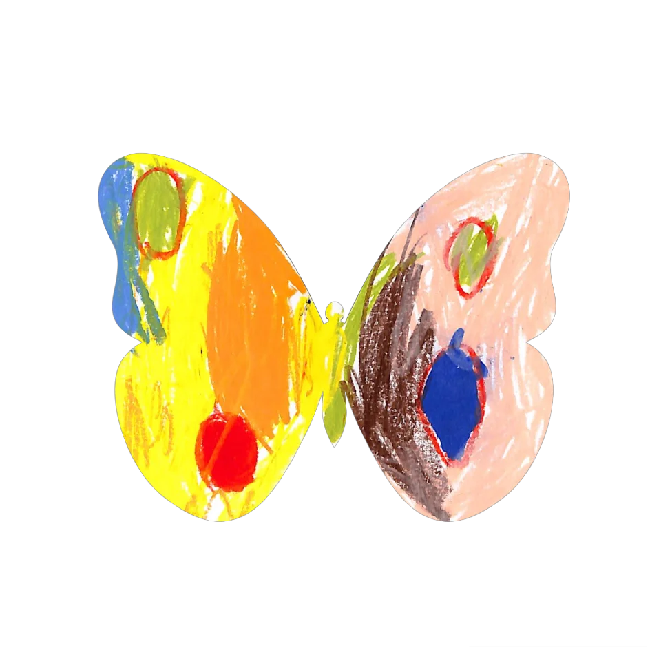 Original Butterfly Image