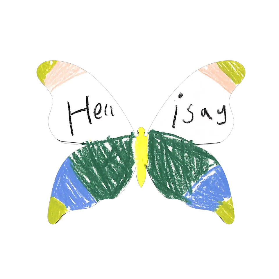 Original Butterfly Image