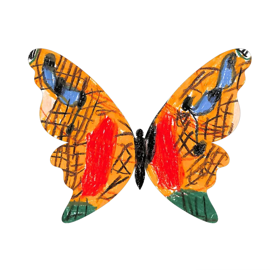 Original Butterfly Image