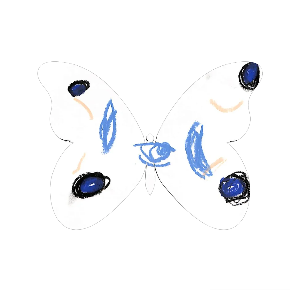 Original Butterfly Image
