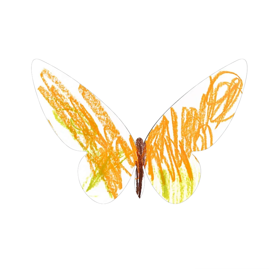 Original Butterfly Image