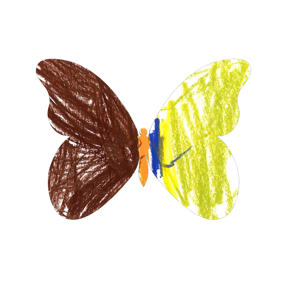Original Butterfly Image