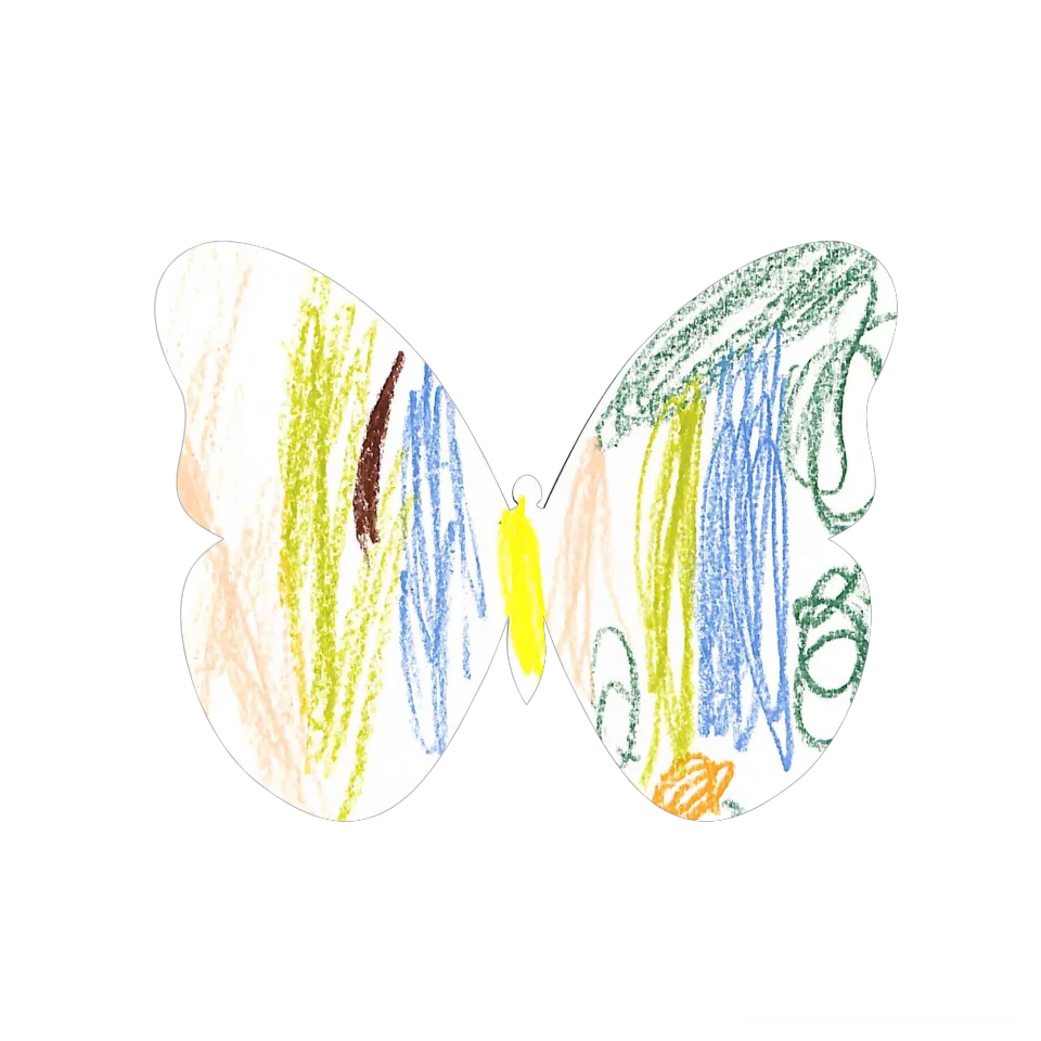 Original Butterfly Image