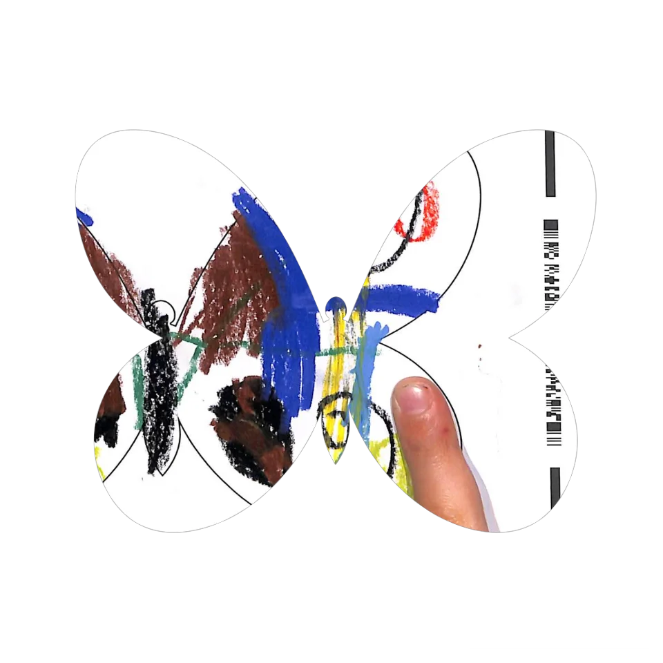 Original Butterfly Image